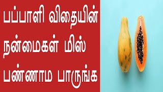 Papaya seed benefits in tamil | பப்பாளி விதையின் நன்மைகள் | Health Tips Tamil TV