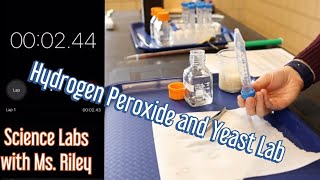 Hydrogen Peroxide and Yeast Lab | MPS Teacher Lab with Ms. Riley