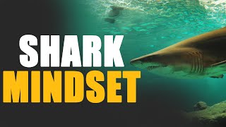 Shark Mindset - shark mindset - powerful motivational speech by walter bond