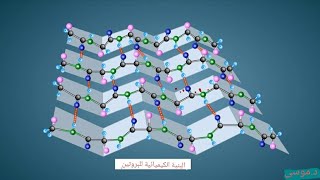 التركيب الكيميائي للبروتينات: البنية الأولية والثانوية والثالثية والرابعية للبروتين