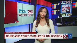 Trump asks court to delay TikTok decision