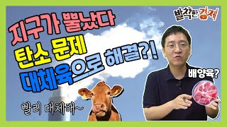 [상식주의자] 지구가 뿔났다! 탄소 문제, 대체육으로 해결?! (권순우) / 발칙한경제