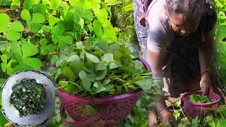 ||sunsunia saag fry||cook in village style|| it is very testy||