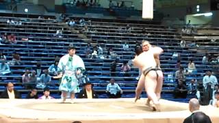 濱豊 勝ち 平成27年大相撲七月場所 2015-07-12