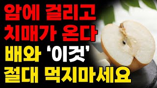 배의 효능 / 암 예방의 마지막 기회 / 이것을 먹고난 후 배를 먹지 않으면 암에 걸린다?!