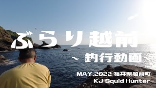 ［エギング］福井県の越前にアオリイカを釣りに行ってきた【2022年５月釣行動画］