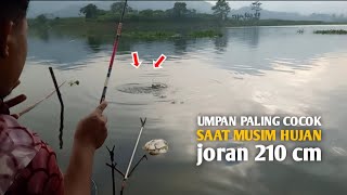 UMPAN PALING COCOK SAAT MUSIM HUJAN || UMPAN INI JADI ANDALAN