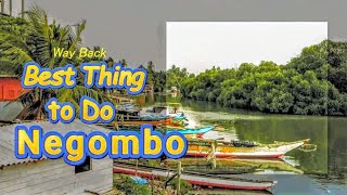 Discover the SECRET Beauty of Negombo Sri Lanka