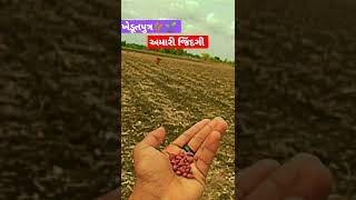 વાવણી🌾🌱 ખેડૂત છીએ સાહેબ