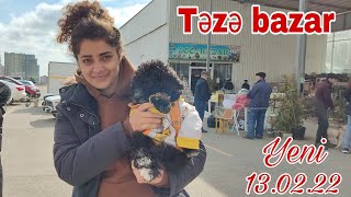 Təzə bazar İt dovşan quşların satışı 13 fevral 22 #mubarizemintv  #tezebazar