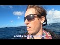 spearfishing new south wales best reef fish