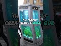 marine magic in the city japan s aquarium phone booths