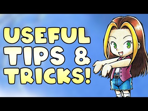 Complete Beginner's Guide to Get Started in Harvest Moon 64!