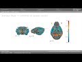 Data Analysis in fMRI | Experimental Neuroimaging Course 2018 | Zurich (CH)