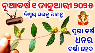 ୧ ଜାନୁଆରୀ ନୂଆବର୍ଷ ୨୦୨୫ ଦିନ ଘରକୁ ଆଣନ୍ତୁ ଏହି ଘର ଚେର,୨୪ ଘଣ୍ଟାରେ କୋଟିପତି| 2025 New year,Vastu tips#2025