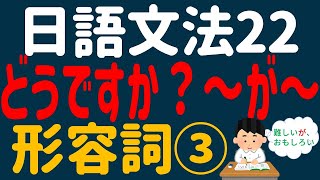 【日文教學】日本語基礎文法「形容詞③」「どうですか？」「接続：そして・が」【日語自學 】第22課