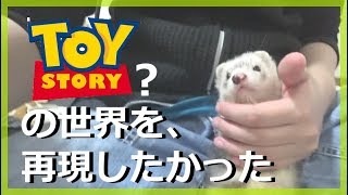 フェレット動きだす人形に恐怖。。トイストーリーのつもりだよ？  - ferret lab #43