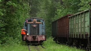 ТГМ1 в промзоне Очаково #tgm1 #locomotive #train #тгм1