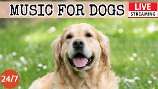 [LIVE] Dog Music🎵Calming Music for Dogs with Anxiety🐶🎵Dog Sleep Music for Dog Relaxation🐶🔴1-2