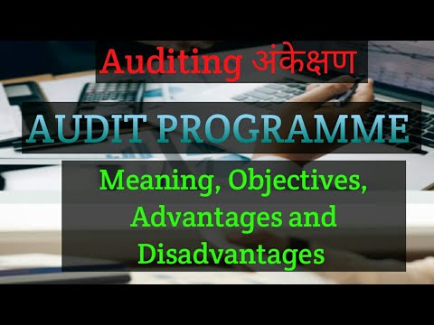 AUDIT PROGRAMME क्या है? (Meaning, Objectives, Advantages And ...