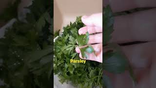 #parsley #vegetable #shorts