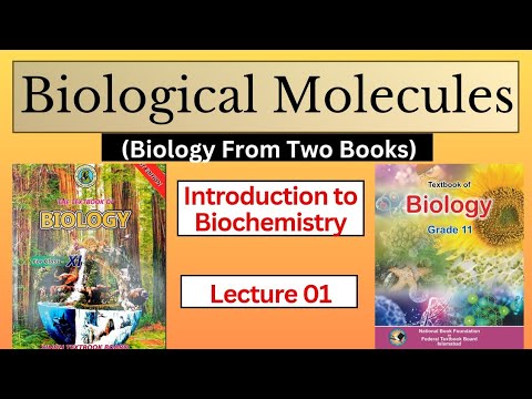 Biological Molecules || Introduction To Biochemistry || Class 11 ...