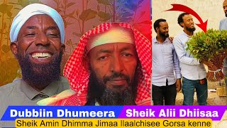 Dubbiin Jimaa Dhumateera. Sheik Ali Jimmaa Dhiisaa jedhe Sheik Amin Ibroo