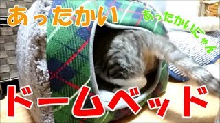 【可愛い】猫にドームベッドをプレゼントしてみた！