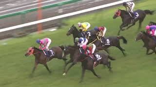 カワカミプリンセス 2007年 第48回宝塚記念(GI) (優勝馬：アドマイヤムーン)