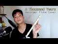 A THOUSAND YEARS (Christina Perri) - Recorder Flute Cover with Easy Letter Notes