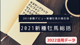 【種牡馬分析拡大版SP2022】キタサンブラック他2021年産駒デビュー種牡馬の現状の傾向と対策！