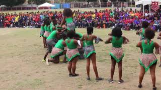 Campion College Cheerleading 2019 - Sports Day