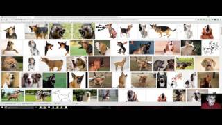 Java Media Files Part 1