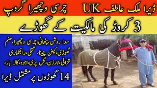 14Champion Horses ||Dera Malik Atif ||All Pakistan TangaRace