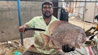 🔪VA MARINE 🔪காசிமேடு கோவிந்து 🐠BIG SPADE மீன் வெட்டும் காட்சி🔪🔪🔪