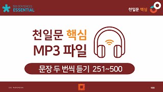 [반복재생] 천일문 핵심 mp3 영상 2(251-500)