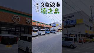 【Tokunoshima】今日の徳之島  2024/3/23【徳之島】#shorts #亀津 #徳之島 #３月  #奄美 #鹿児島