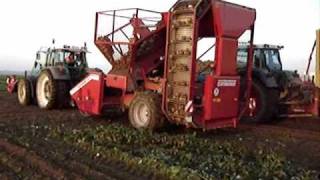 Demo Grimme Rootser 2009 @ Chièvres suikerbieten betteraves sugar beet JCB 7270