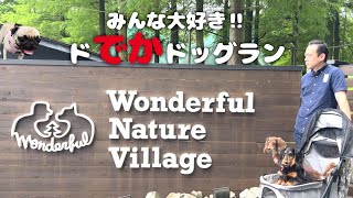 ドッグラン苦手犬達が「わんダフルネイチャービレッジ」で唯一のお友達と遊んできたよ～🐕🐕🐕🐾東京都あきる野市 ペットショップの売れ残りと元保護犬とお出かけ