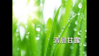 清晨甘露-20201118 詩篇29