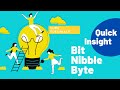 Bit - Nibble - Byte In Binary Number System