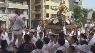 平成29年　台東区竜泉＜千束稲荷神社＞神幸祭　本社神輿宮出＝渡御（中部町会）