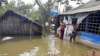 বাংলাদেশে ঘরের উঠানে কিভাবে মাছ ধরা হয় দেখুন,,, Traditional Net Fishing,, 🇧🇩