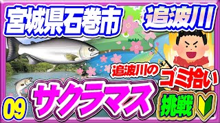 【サクラマスに挑戦009】ゴミ拾い会・旧北上川or追波川で頑張る【暴風で釣りならん日】