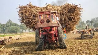 amazing tractor stunts 😱💪 || tractor sugercane load trolley pulling with tractor stunts video