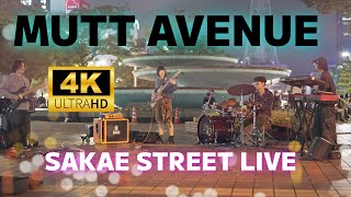 MUTT AVENUE ／ 名古屋 栄 久屋大通公園 希望の広場 路上ライブ 2024年10月31日