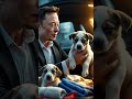 elon musk rescues a stray dog and her 15 puppies