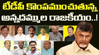 అన్నదమ్ముల రాజకీయంతో చంద్రబాబుకు చుక్కలు.!| The politics of Brothers is troubling to the TDP