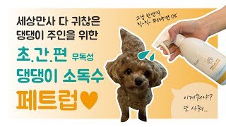 강아지 위생관리 이거 하나면 끝!! [페트럽] 살균소독수