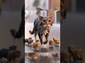 Poor Cat And Her Kittens On Road|| ai cats videos || ai cat || #aicat #aicats